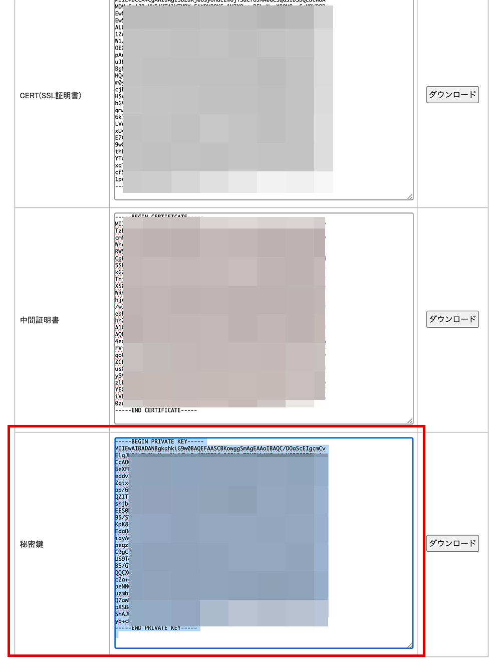 「Bizメール＆ウェブ」と「SSL BOX」を利用したSSL更新設定マニュアル その13